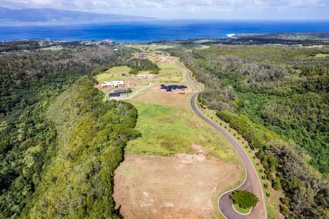 Listing Image for 830 Mahana Ridge Pl 50 26 of 33