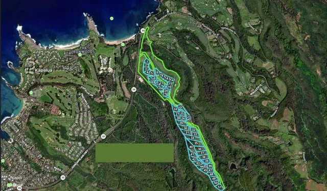 Listing Image for 830 Mahana Ridge Pl 50 28 of 33