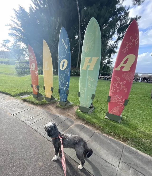 Listing Image for 830 Mahana Ridge Pl 50 32 of 33