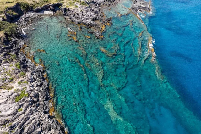 Listing Image for 830 Mahana Ridge Pl 50 33 of 33