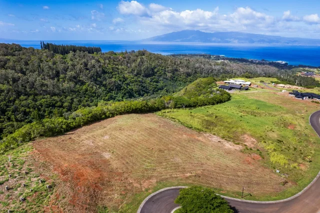 Listing Image for 830 Mahana Ridge Pl 50 9 of 33