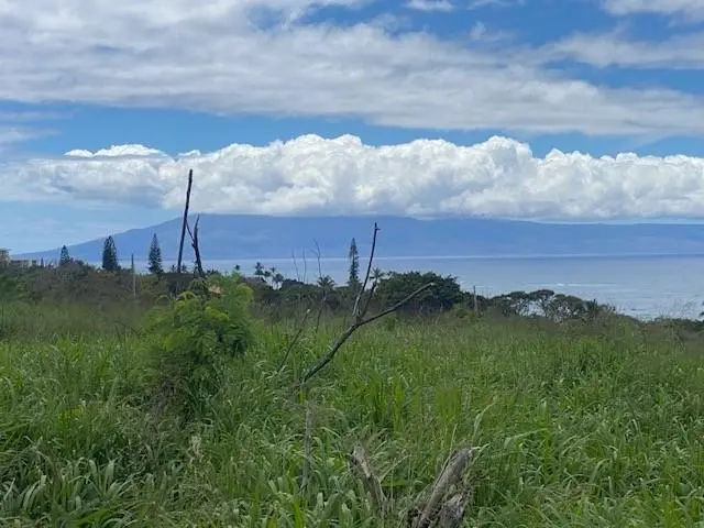 Photo of Listing #409153