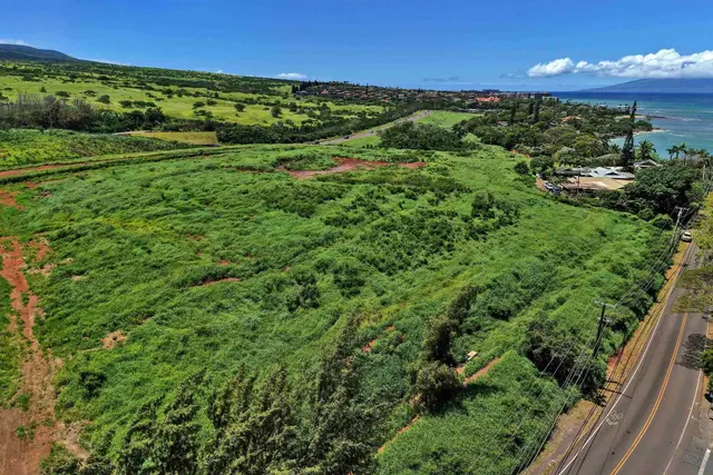 Listing Image for Honoapiilani Hwy 13 of 28