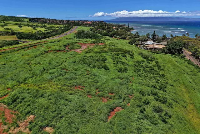 Listing Image for Honoapiilani Hwy 15 of 28