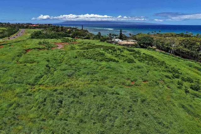 Listing Image for Honoapiilani Hwy 18 of 28