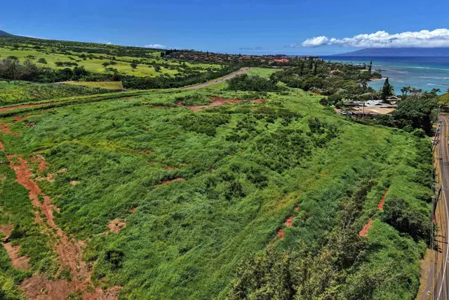 Listing Image for Honoapiilani Hwy 20 of 28