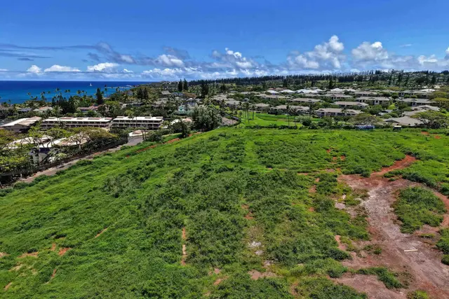 Listing Image for Honoapiilani Hwy 24 of 28