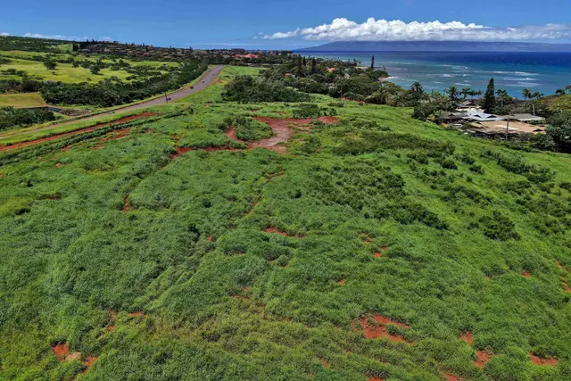 Listing Image for Honoapiilani Hwy 6 of 28