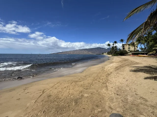 Listing Image for 140 Uwapo Rd 56-204 36 of 40