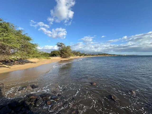 Listing Image for 140 Uwapo Rd 56-204 38 of 40