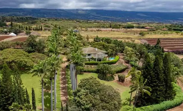 Listing Image for 3051 Omaopio Rd 3 of 50