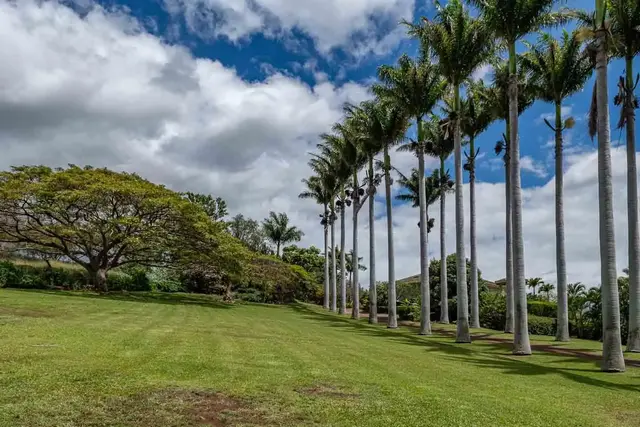 Listing Image for 3051 Omaopio Rd 4 of 50