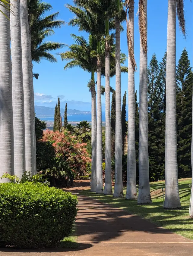 Listing Image for 3051 Omaopio Rd 5 of 50