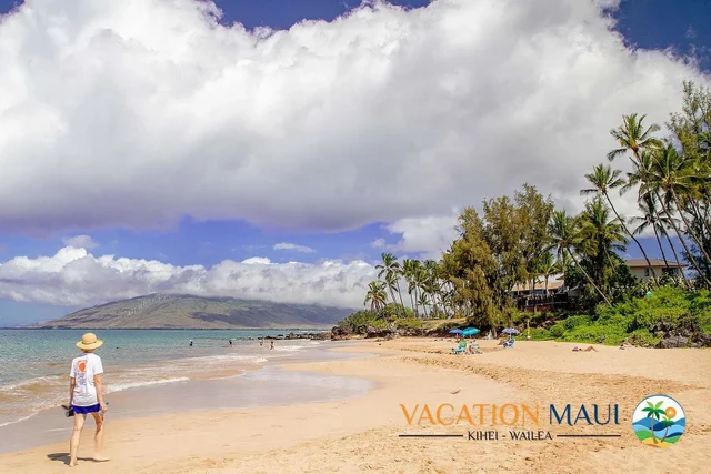 Listing Image for 2385 S Kihei Rd 405 29 of 37