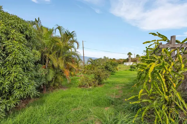 Listing Image for 1461 Naalae Rd 47 of 50