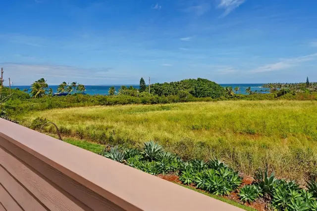 Listing Image for 4 N Laelua Pl 29 of 47