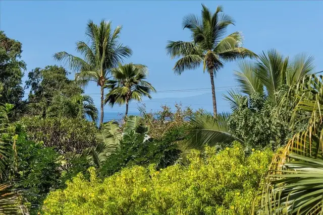 Listing Image for 484 Hoala Dr 41 of 50