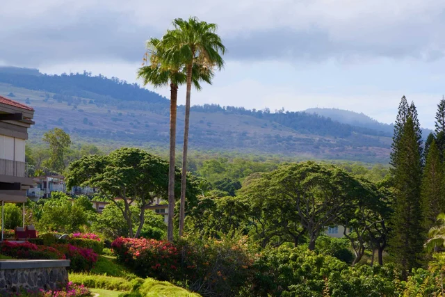 Listing Image for 4000 Wailea Alanui Dr 3003 38 of 48