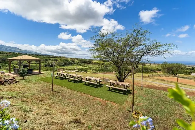 Listing Image for 62 Opalipali Pl 47 of 50