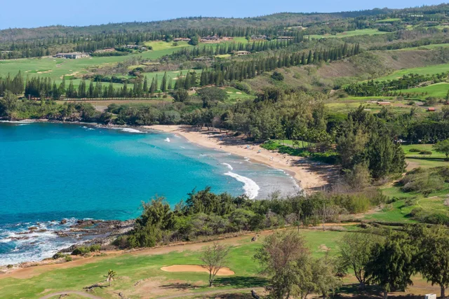 Listing Image for 500 Kapalua Dr 19t6-7 42 of 46