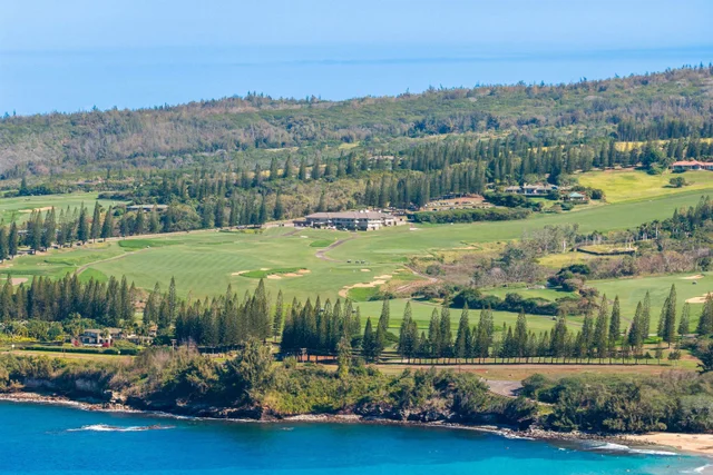 Listing Image for 500 Kapalua Dr 19t6-7 43 of 46