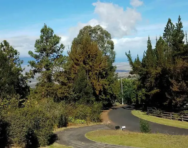 Listing Image for 58 Wahelani Rd Lots 7 And 11 4 of 29