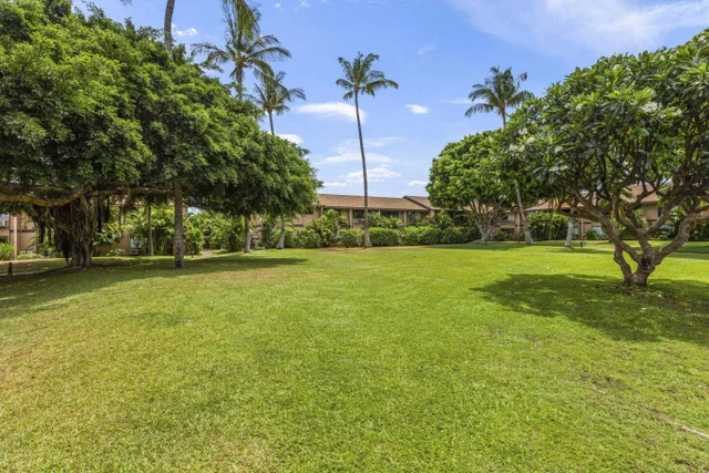 Listing Image for 15 Kulanihakoi St 3d 36 of 45