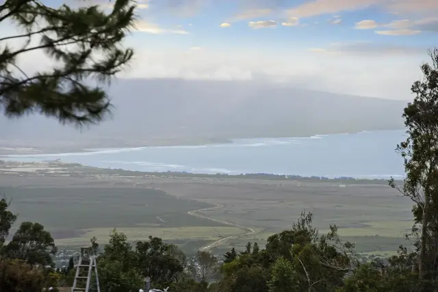 Listing Image for 2450 Piiholo Rd 4 of 39