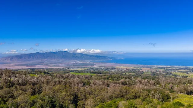 Listing Image for 1733 Piiholo Rd Rd 50 of 50