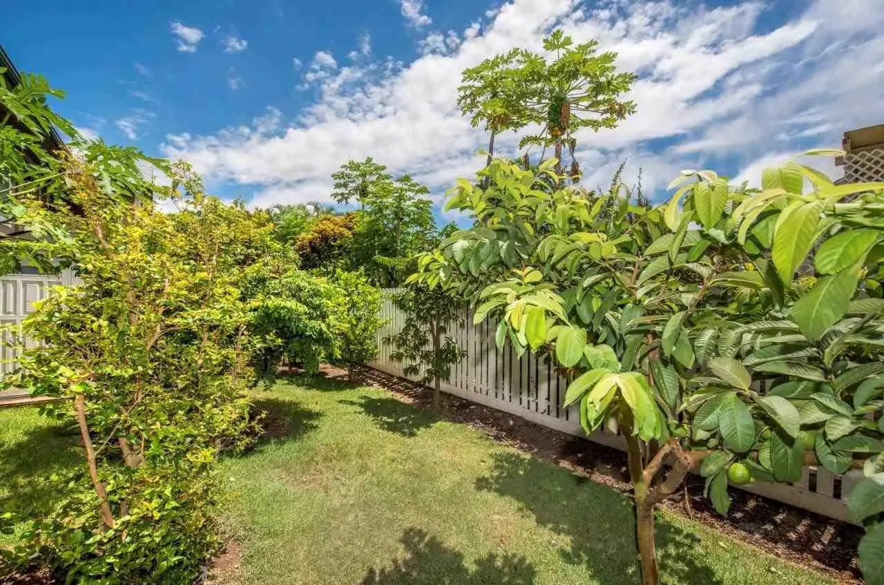 Photo of Listing #409023