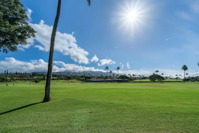 Listing Image for 2661 Kekaa Dr K110 42 of 48