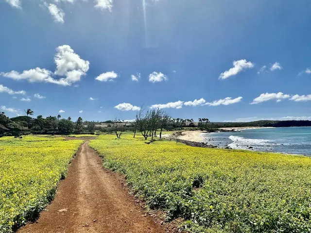 Listing Image for 255 Kepuhi Pl 12b07-2221 44 of 48