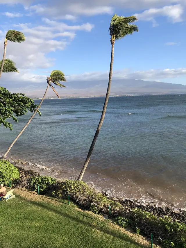 Listing Image for 250 Hauoli Rd 304 11 of 19