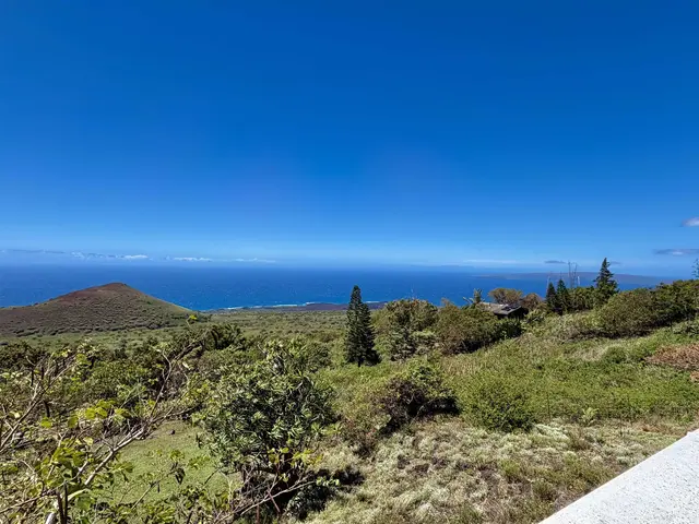 Listing Image for 2480 Upper Kanaio Rd 18 of 50