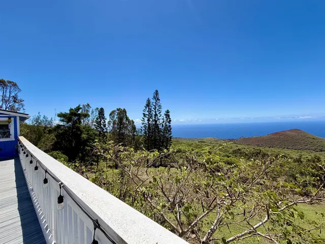 Listing Image for 2480 Upper Kanaio Rd 19 of 50