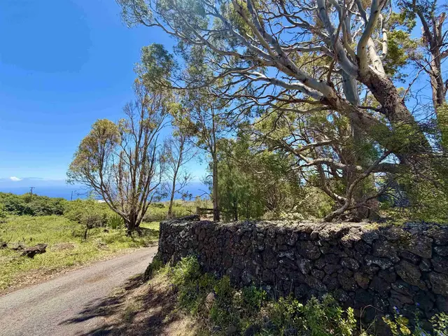 Listing Image for 2480 Upper Kanaio Rd 49 of 50