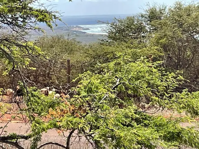 Listing Image for 188 Kaula Rd 54 3 of 4
