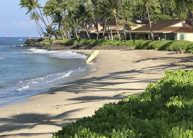 Listing Image for 24 Puamelia Pl 24-3 12 of 41