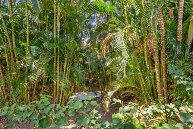 Listing Image for 24 Puamelia Pl 24-3 22 of 41