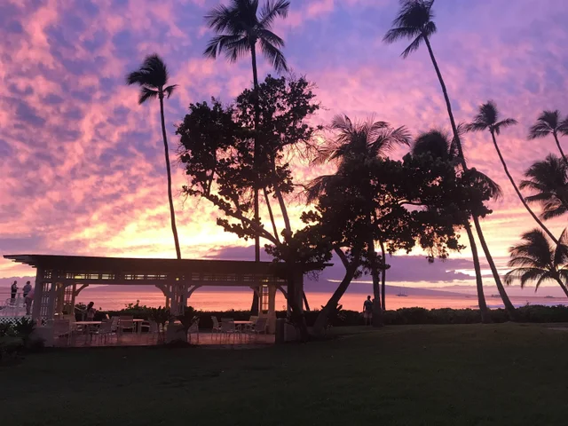 Listing Image for 24 Puamelia Pl 24-3 31 of 41