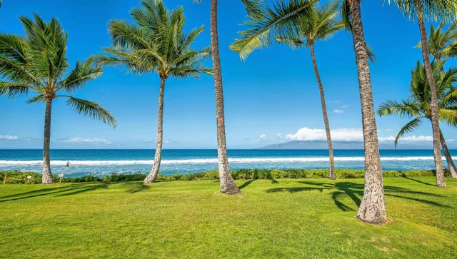 Listing Image for 24 Puamelia Pl 24-3 34 of 41