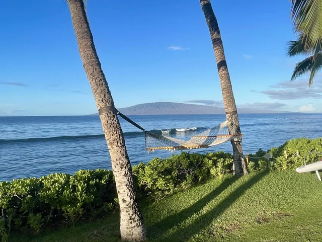 Listing Image for 24 Puamelia Pl 24-3 36 of 41