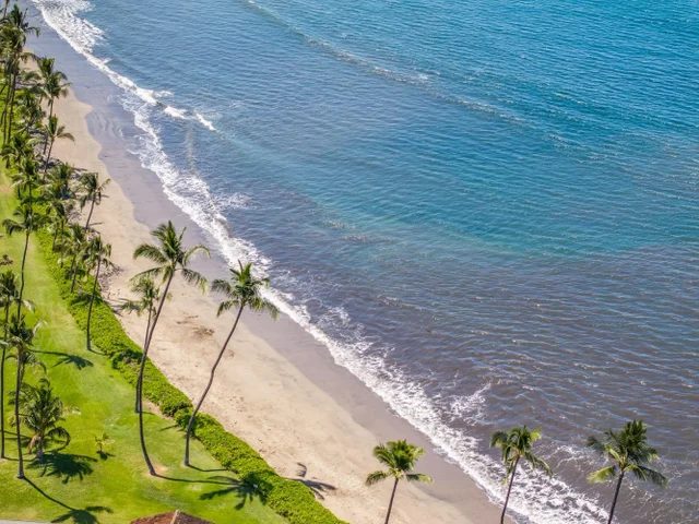 Listing Image for 24 Puamelia Pl 24-3 38 of 41