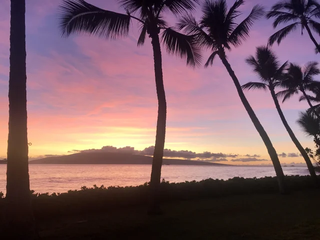 Listing Image for 24 Puamelia Pl 24-3 40 of 41