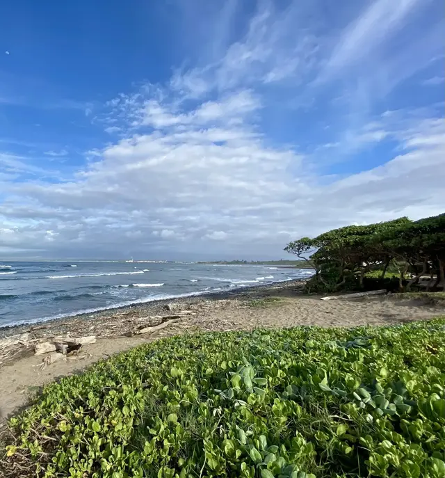 Listing Image for 71 Lower Waiehu Beach Rd 21 of 35