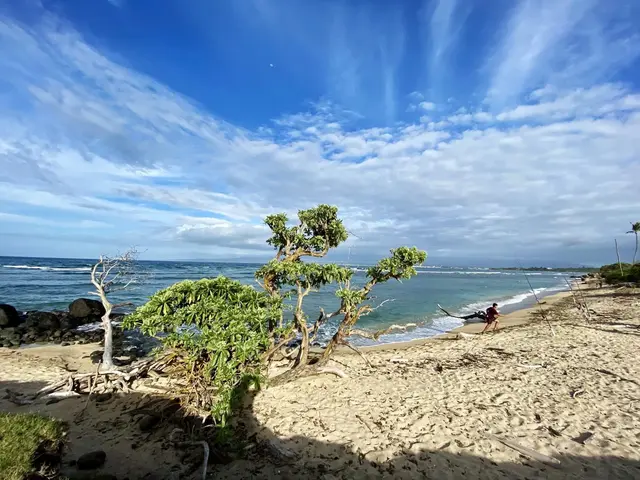Listing Image for 71 Lower Waiehu Beach Rd 35 of 35