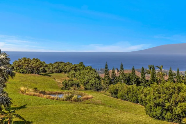 Listing Image for 222 Ke'oawa St 47 of 50