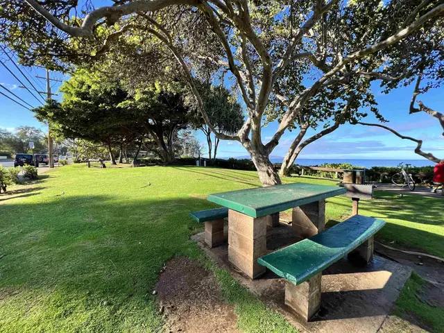 Listing Image for 2531 S Kihei Rd 605c 26 of 27