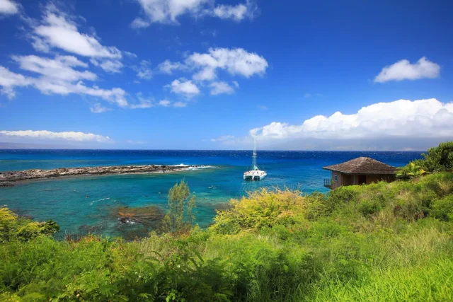 Listing Image for 1 Bay Dr 2202 38 of 50