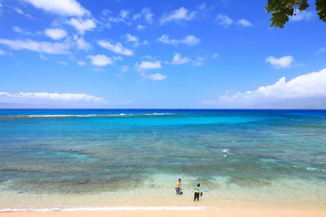 Listing Image for 1 Bay Dr 2202 46 of 50